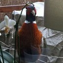 Robert Lindblom - @snedspark - Twitter