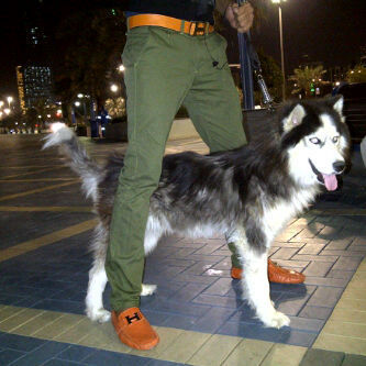 Glem1Q's profile picture. 