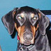 Barney... (@barney37) Twitter profile photo Barney... (@barney37) Twitter profile photo