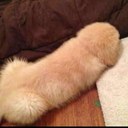 Andrew Revill - @andyrev1 - Twitter