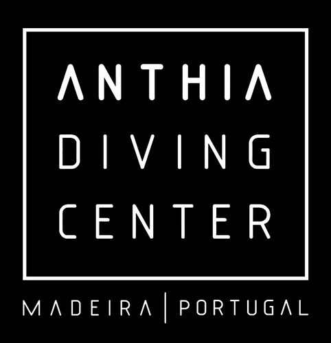Anthia_Madeira's profile picture. Anthia Diving Center - Madeira é uma Escola e Centro de Mergulho SSI (Scuba Schools International).