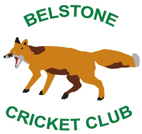 We are a small village club with thriving colts section and senior league cricket sides. NDL Division One. NDL Division Two & Buckley Cup Champions 2014.