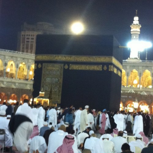 a6oma2's profile picture. 