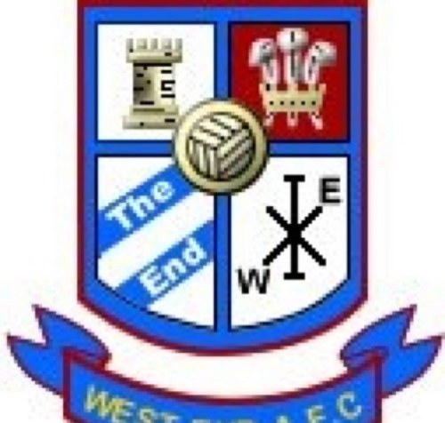 West End Football Club Swansea fan, would die for our club we are the bluebloods..barmyarmy..Wrighty is the special one