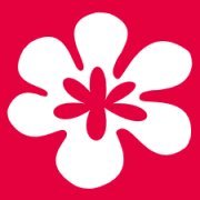 inKotton's profile picture. Gioielli di cotone