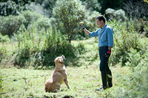 CRIADORES RESPONSABLES DE LABRADOR RETRIEVER ESPECIALISTAS EN LA CRIANZA DE PERROS PARA EXPOSICION, TRABAJO Y COMPAÑIA