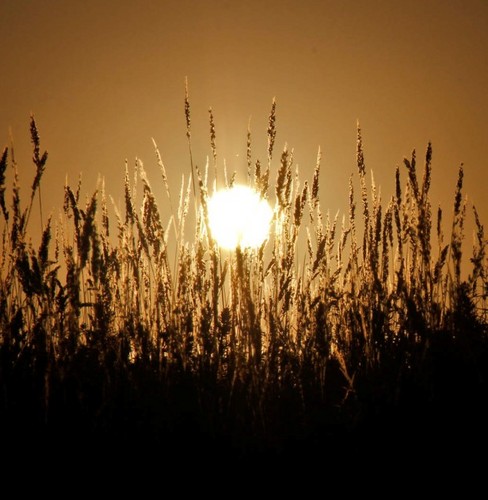 smoothcreek's profile picture. 碎碎念