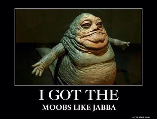 siguy123's profile picture. 