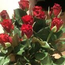 Justine Holmes - @justween74 - Twitter