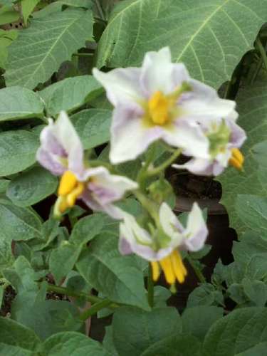 qjqwjs36's profile picture. 