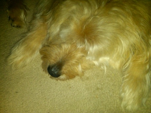 Stewy20A's profile picture. 