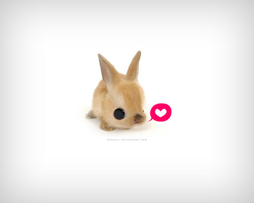 narae24's profile picture. 