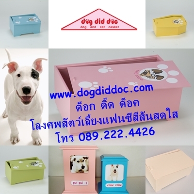 โลงศพสัตว์เลี้ยง ด็อก ดิ๊ด ด็อคผลิตจากเศษไม้ที่เหลือจากการผลิตกระดาษ ลดการตัดไม้ทำลายป่า งานสวยปราณีต พื้นเรียบตรง แข็งแรง หลับสบาย .... id:dogdiddoc689