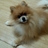 _pon1101's profile image