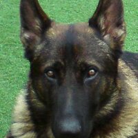 Veza (@vero4057) 's Twitter Profile
