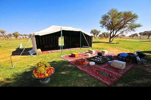 elyas_2000's profile picture. 