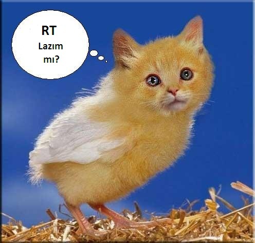 DM'lerden beğendiğimi RT 'liyorum..RT için özel bir listem yoktur......#takipedenitakipederim