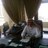 AlrumaihSaad's profile image