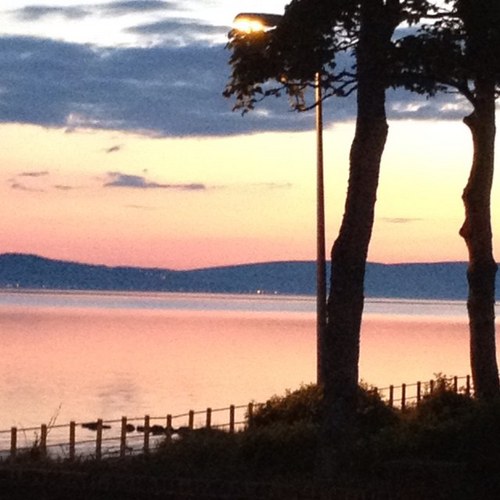 monyfuentesd's profile picture. 