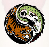 Chinese Martial Arts Experts-Traditional Kung Fu, Five Animals Shaolin, ChinNa, Fitness/Kickboxing, Weapons/Street fighting skills classes in Bournemouth/Poole.