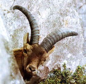 SrBucardo's profile picture. Perdido en el espacio y en el tiempo #RestoreTheSnyderVerse
#ReleaseTheAyerCut
#FullCircle