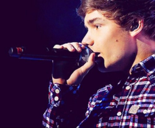LIAMPAYNE_PLS's profile picture. @onedirection changed my life in ways they will never know. Concert: Hershey Park July/6/2013 :)
