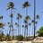deana_stone's profile image