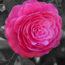 Rachel - @RachelHellman - Twitter