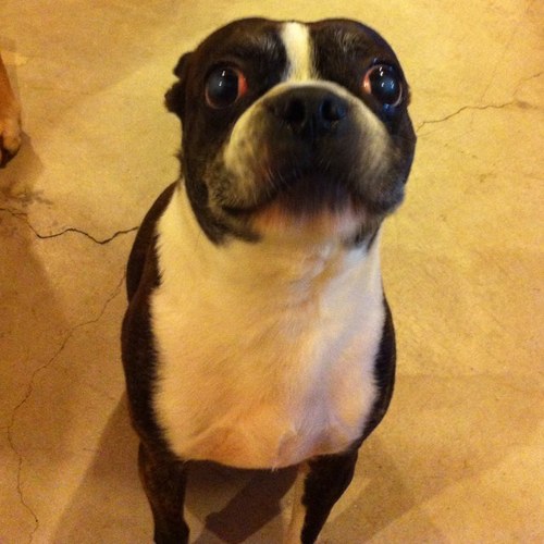 StoneSollars's profile picture. 