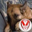 Diane Whitehead - @gliderpup - Twitter