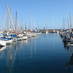 World Marine Guide (@marineguide) Twitter profile photo