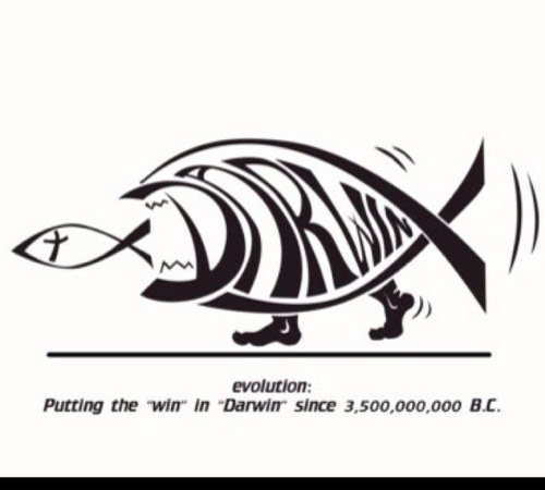 homo_futurae's profile picture. Die hier getätigten Äußerungen sind als immerwährende, unwiederufliche und unumstößliche Wahrheit zu akzeptieren.