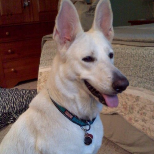 Qaletaga's profile picture. 