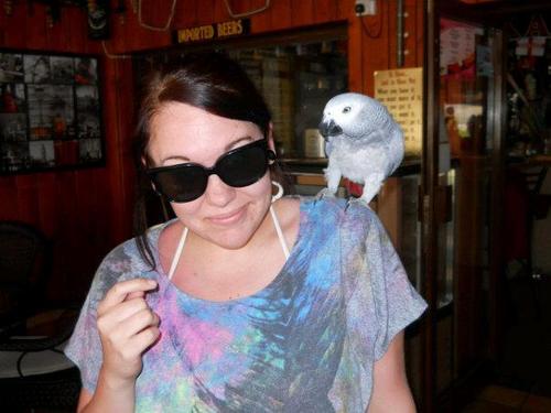 SarahLHayes's profile picture. 