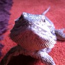 Paul Kirkham - @PjK40 - Twitter