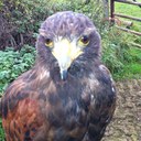 mark melhorn - @mel9573 - Twitter