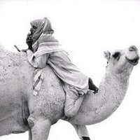 عضو في تويتر (@ssssooosss) 's Twitter Profile