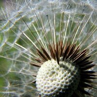 Drew McLaughlin (@dsmclaughlin) 's Twitter Profile