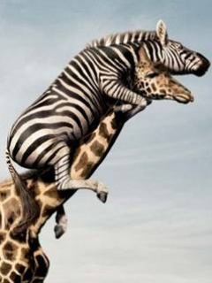 The world's most interesting man.
Seer. Change-maker. Co-founder of #LulzWarfare and the original @LulzWarfare Crew. #Legion
18+ please