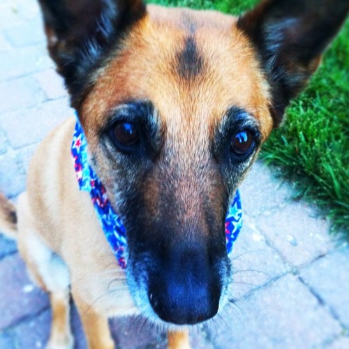 InstagramAmanda's profile picture. 