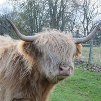 Jay Nelson (@nelsjay) Twitter profile photo