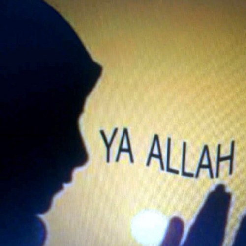 MissGalaxyaA's profile picture. 