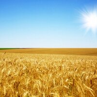 Prairie Problems 🇨🇦 🇺🇦 (@prairieproblems) 's Twitter Profile Photo Prairie Problems 🇨🇦 🇺🇦 (@prairieproblems) 's Twitter Profile Photo