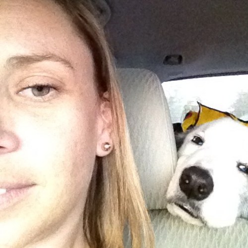 luludemott's profile picture. 