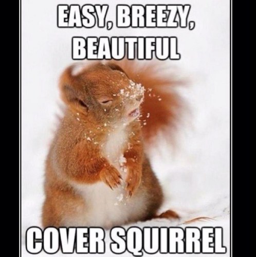 ermahgerdEpic's profile picture. 