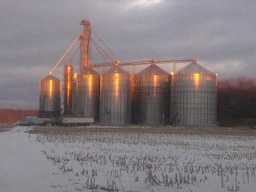 Farmer (corn and soybeans) elevator operator, grain merchandiser and father of 4, UofG Agronomy alumni