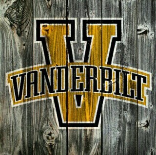 SteelDores's profile picture. Here for the Commodores
