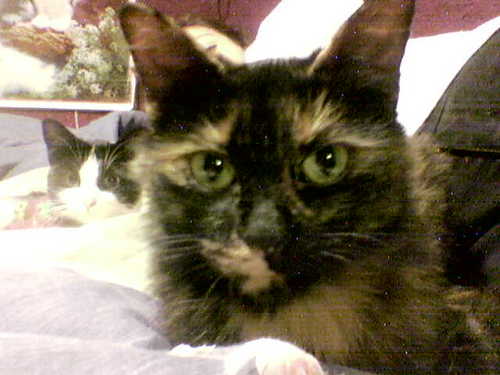 MrzBeck's profile picture. Only God can judge me!!!