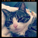 Lindsay Macfarlane - @lindsaymac05 - Twitter