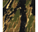 aldud's profile image
